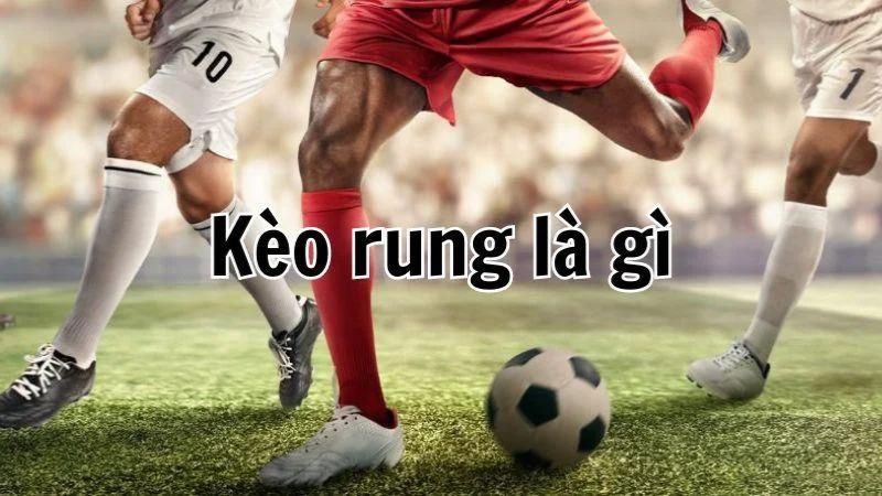 Sơ lược thông tin về kèo rung online đẳng cấp